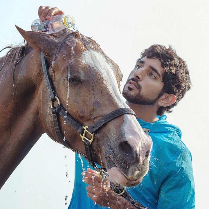conocer-la-verdadera-corona-de-aladdin-de-dubai-sheikh-hamdan-03