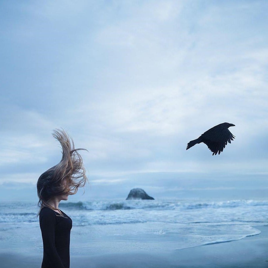 Pájaro | Fotografía surrealista que estudia el mundo solo de uno solo | Bayas cerebrales